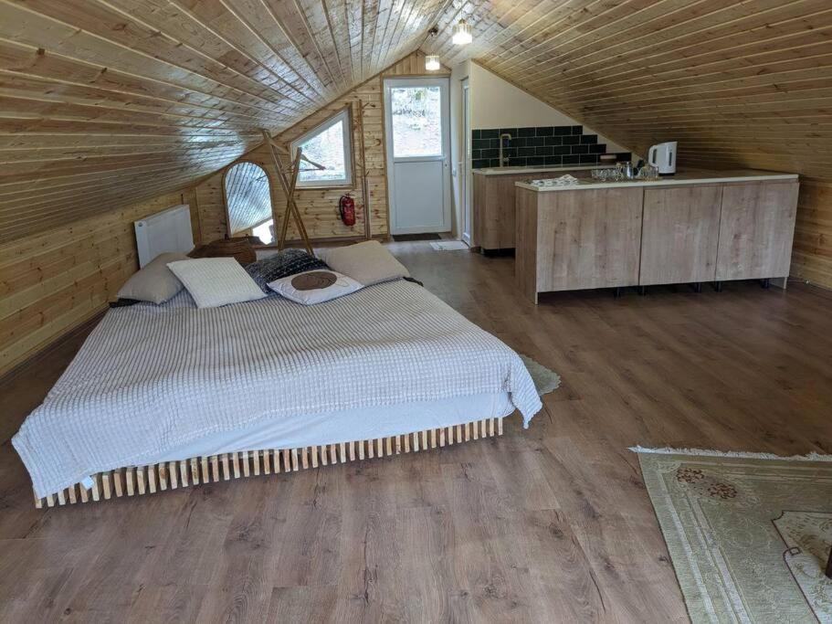 Appartement Unforgettable Attic With Balcony In Bordjomi Extérieur photo